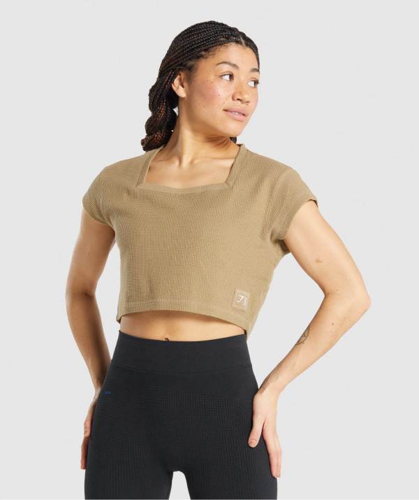 Damske Crop Top Gymshark Pause Svetlo Hnede | UC8314062